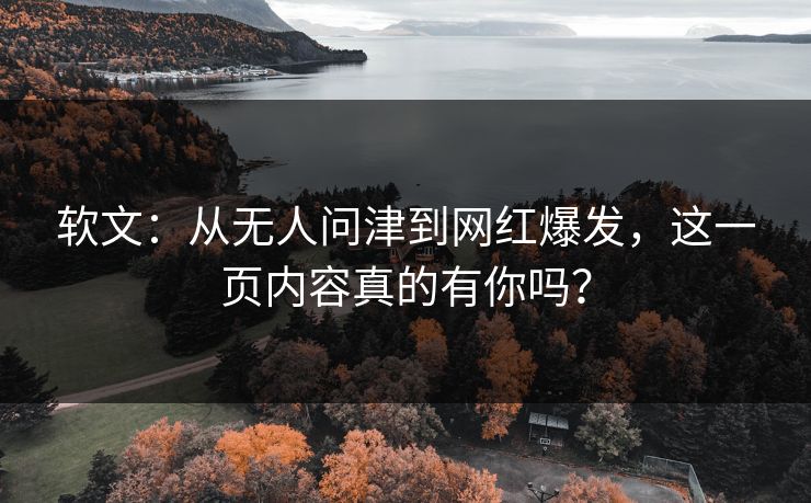 软文：从无人问津到网红爆发，这一页内容真的有你吗？