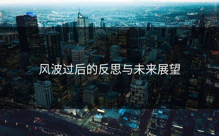 风波过后的反思与未来展望