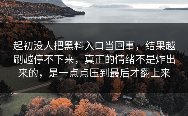 起初没人把黑料入口当回事，结果越刷越停不下来，真正的情绪不是炸出来的，是一点点压到最后才翻上来